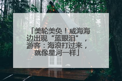 美轮美奂！威海海边出现“蓝眼泪”，游客：海浪打过来，就像星河一样
