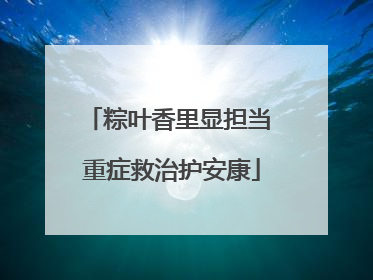 粽叶香里显担当 重症救治护安康