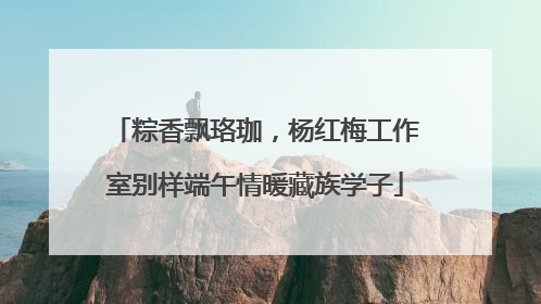 粽香飘珞珈，杨红梅工作室别样端午情暖藏族学子