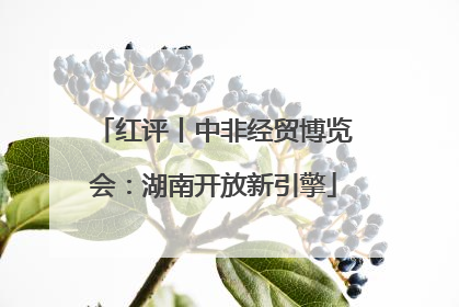 红评丨中非经贸博览会：湖南开放新引擎