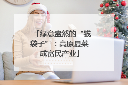 绿意盎然的“钱袋子”：高原夏菜成富民产业