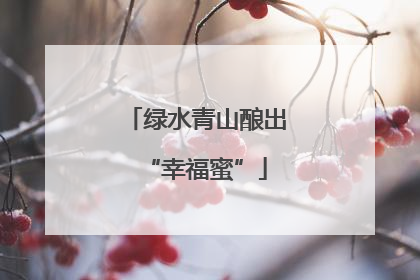 绿水青山酿出“幸福蜜”