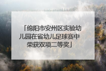 绵阳市安州区实验幼儿园在省幼儿足球赛中荣获双项二等奖