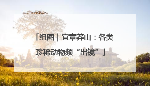组图｜宜章莽山：各类珍稀动物频“出镜”
