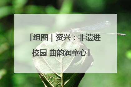 组图｜资兴：非遗进校园 曲韵润童心