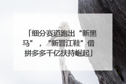 细分赛道跑出“新黑马”，“新晋江鞋”借拼多多千亿扶持崛起