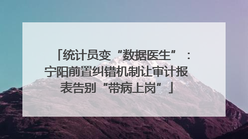 统计员变“数据医生”：宁阳前置纠错机制让审计报表告别“带病上岗”