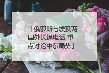 俄罗斯与埃及两国外长通电话 重点讨论中东局势