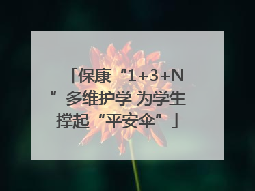 保康“1+3+N”多维护学 为学生撑起“平安伞”