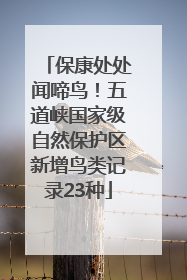 保康处处闻啼鸟！五道峡国家级自然保护区新增鸟类记录23种