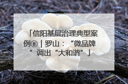 信阳基层治理典型案例⑧｜罗山：“微品牌”调出“大和谐”