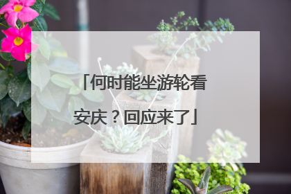 何时能坐游轮看安庆？回应来了