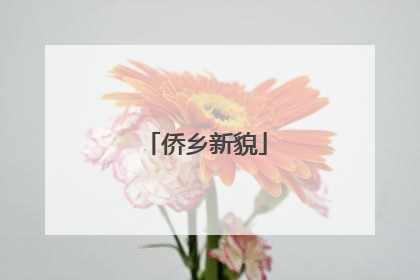 侨乡新貌