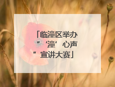 临潼区举办“‘潼’心声”宣讲大赛