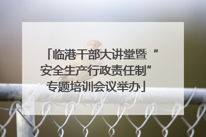 临港干部大讲堂暨“安全生产行政责任制”专题培训会议举办