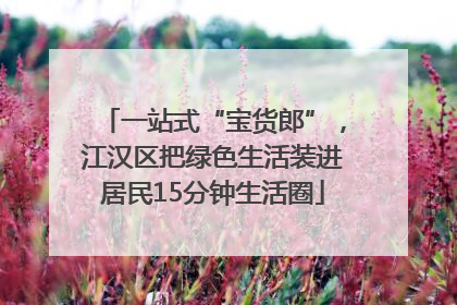 一站式“宝货郎”，江汉区把绿色生活装进居民15分钟生活圈