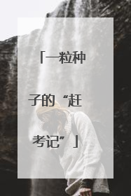 一粒种子的“赶考记”