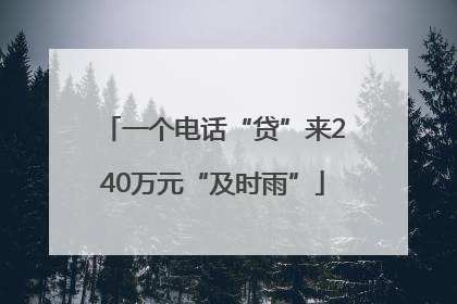 一个电话“贷”来240万元“及时雨”