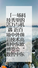 一场科技秀里的活力与机遇 近百项中外前沿技术亮相中东欧博览会“数智中东欧”板块