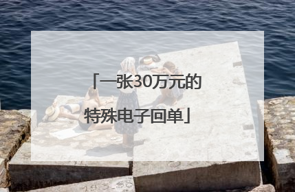 一张30万元的特殊电子回单
