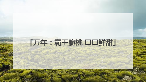 万年：霸王脆桃 口口鲜甜