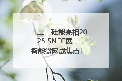 三一硅能亮相2025 SNEC展，智能微网成焦点