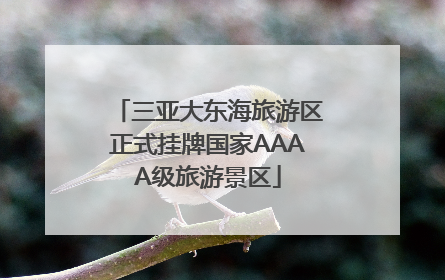 三亚大东海旅游区正式挂牌国家AAAA级旅游景区