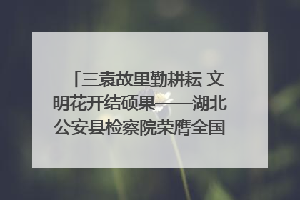 三袁故里勤耕耘 文明花开结硕果——湖北公安县检察院荣膺全国文明单位称号