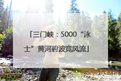 三门峡：5000“泳士”黄河碧波竞风流