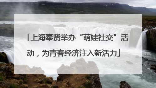 上海奉贤举办“萌娃社交”活动，为青春经济注入新活力