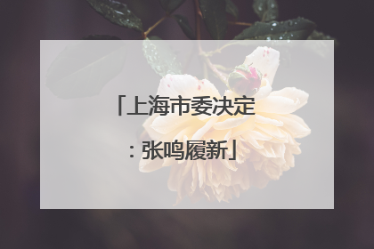 上海市委决定：张鸣履新