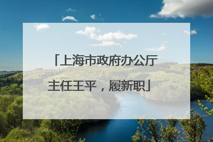 上海市政府办公厅主任王平，履新职