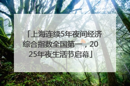 上海连续5年夜间经济综合指数全国第一，2025年夜生活节启幕