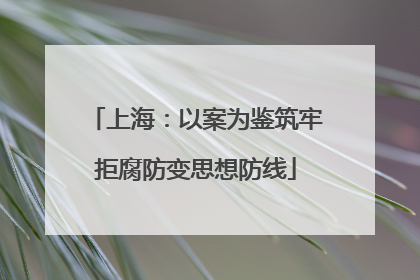 上海：以案为鉴筑牢拒腐防变思想防线