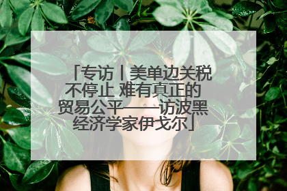 专访丨美单边关税不停止 难有真正的贸易公平——访波黑经济学家伊戈尔