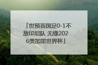 世预赛国足0-1不敌印尼队 无缘2026美加墨世界杯