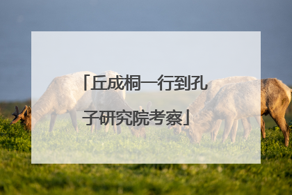 丘成桐一行到孔子研究院考察