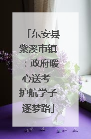 东安县紫溪市镇：政府暖心送考 护航学子逐梦路