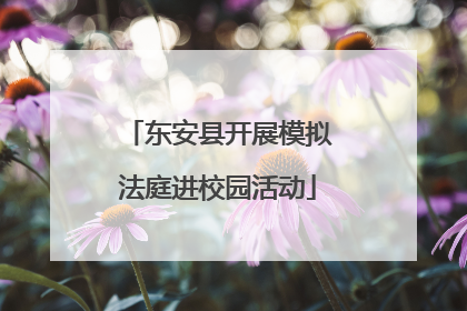 东安县开展模拟法庭进校园活动