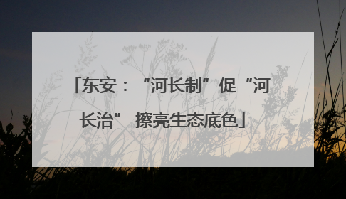 东安：“河长制”促“河长治” 擦亮生态底色