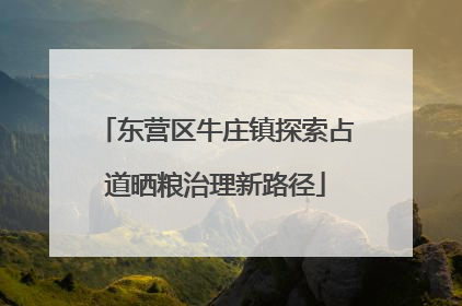 东营区牛庄镇探索占道晒粮治理新路径