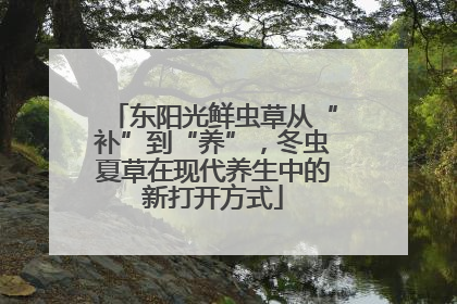 东阳光鲜虫草从“补”到“养”，冬虫夏草在现代养生中的新打开方式