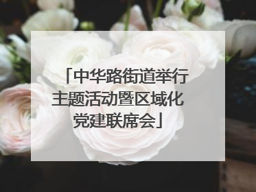 中华路街道举行主题活动暨区域化党建联席会