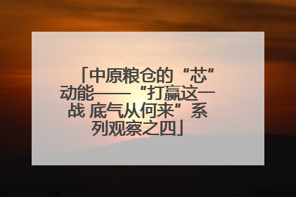 中原粮仓的“芯”动能——“打赢这一战 底气从何来”系列观察之四