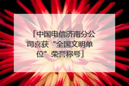 中国电信济南分公司喜获“全国文明单位”荣誉称号
