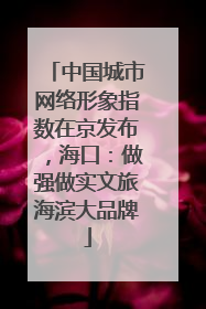 中国城市网络形象指数在京发布，海口：做强做实文旅海滨大品牌