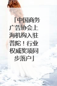 中国商务广告协会上海机构入驻普陀！行业权威奖项同步落户