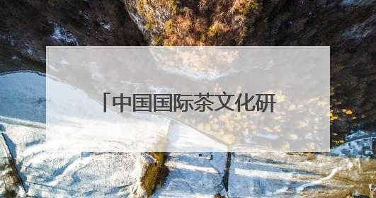 中国国际茶文化研究会副会长张仲灿一行调研“十二月令·非遗茶空间”