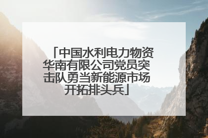 中国水利电力物资华南有限公司党员突击队勇当新能源市场开拓排头兵