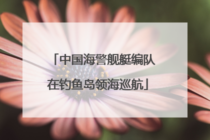 中国海警舰艇编队在钓鱼岛领海巡航